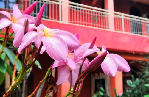 Lome House | Keryvonne