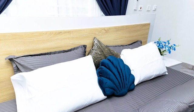 Firnic Luxurious Private Hotel