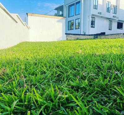 Afse apartments Peduase