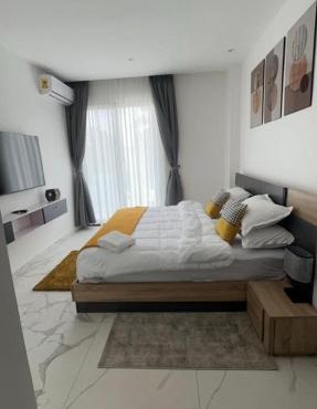 Luxurious One bedroom apartment in Cantonments - 233 BOULEVARD