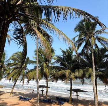 Sunflower Beach Resort